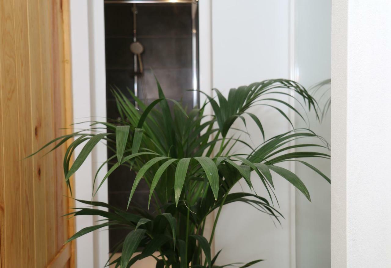 Apartamento Valeria 卡门港 外观 照片